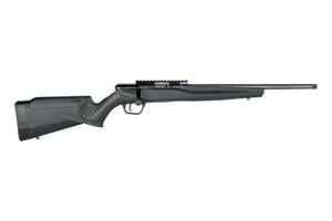 savage-arms-b22-22-lr-image